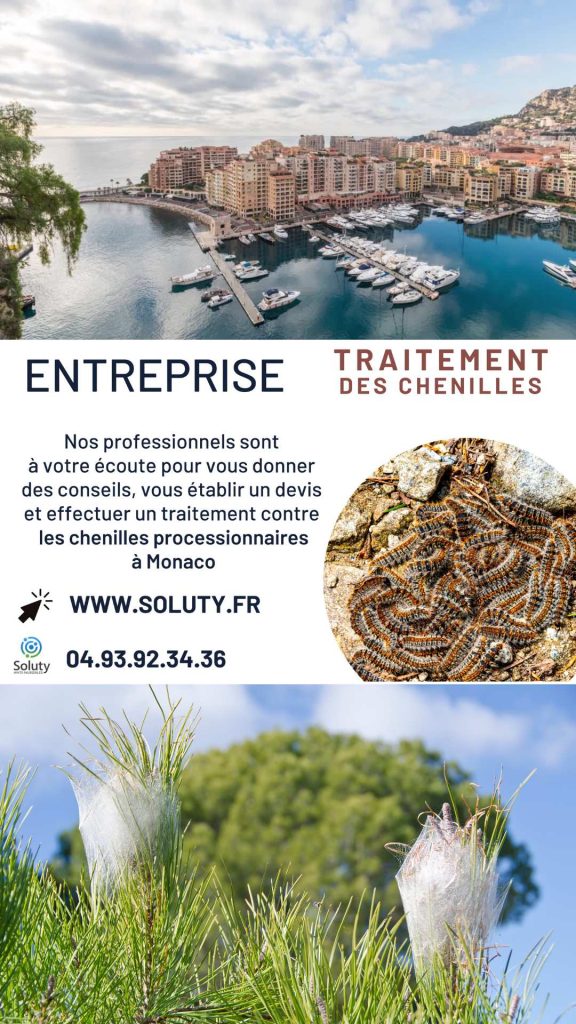 Traitement et destruction des nids de chenilles processionnaires à Monaco
