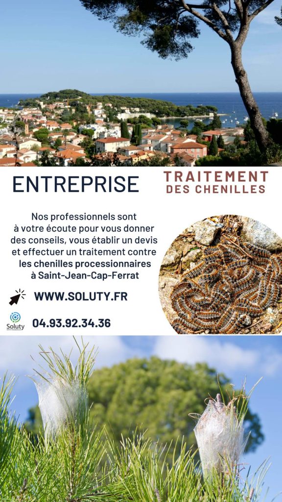 Entreprise de traitement des chenilles processionnaires à Saint-Jean-Cap-Ferrat