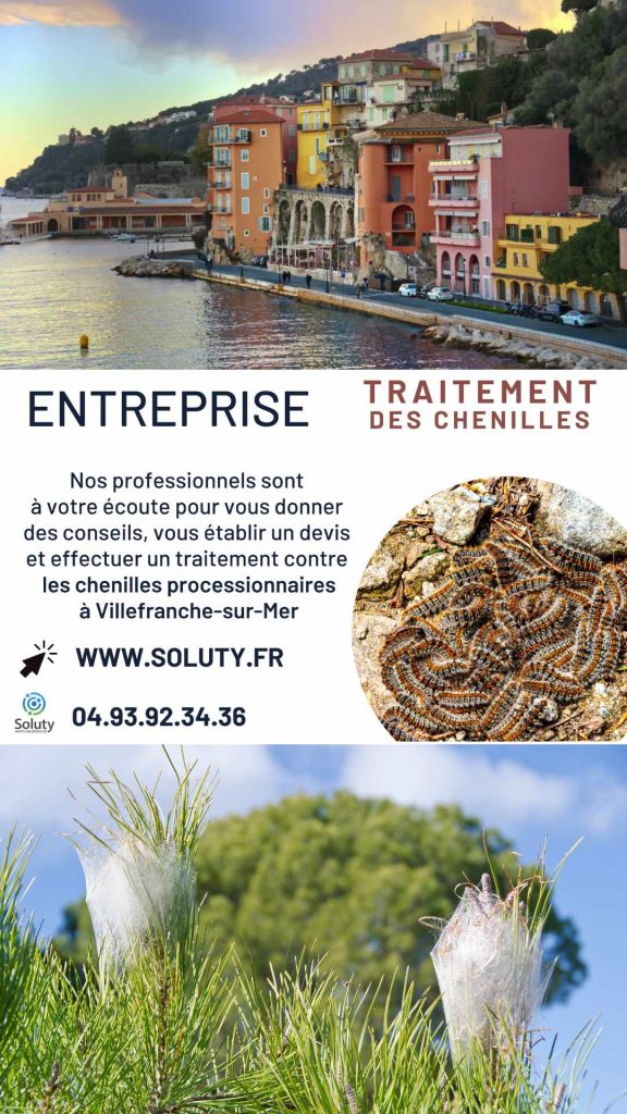 Entreprise de traitement des chenilles processionnaires à Villefranche-sur-Mer