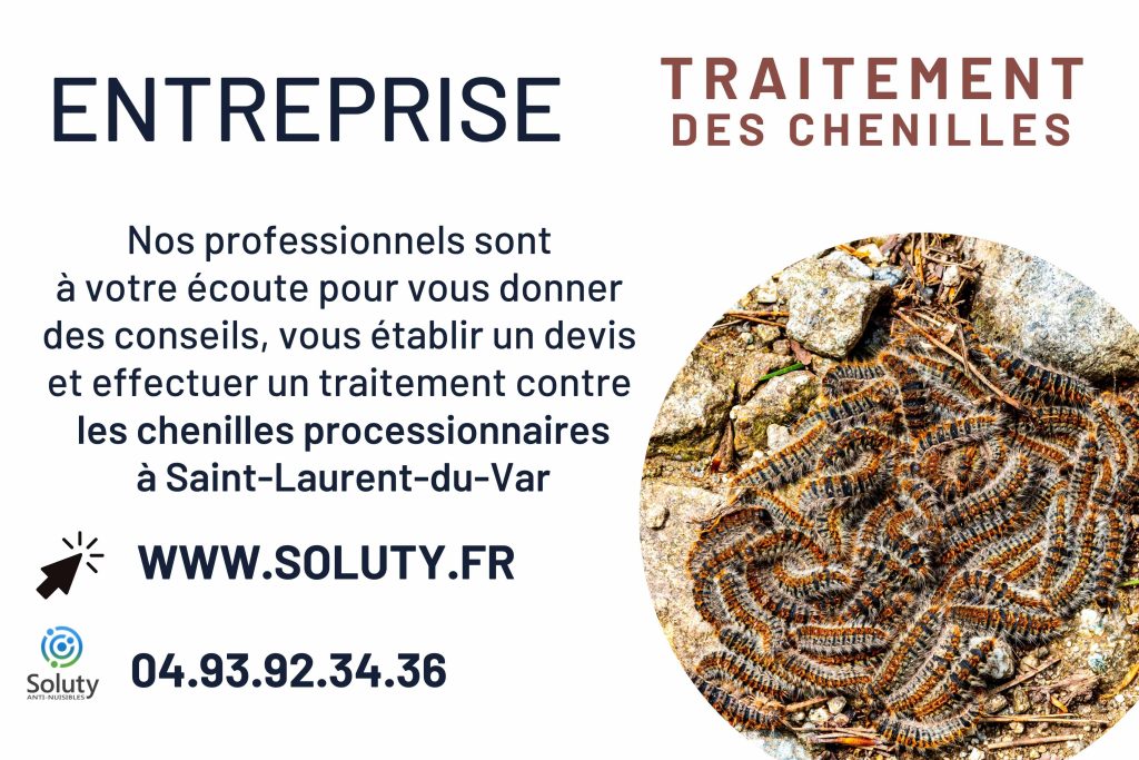 Entreprise de traitement des chenilles processionnaires à Saint-Laurent-du-Var