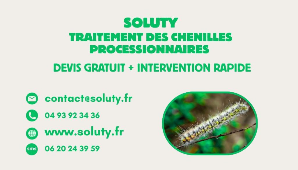 Un devis gratuit pour un traitement contre les chenilles processionnaires à Mandelieu-la-Napoule