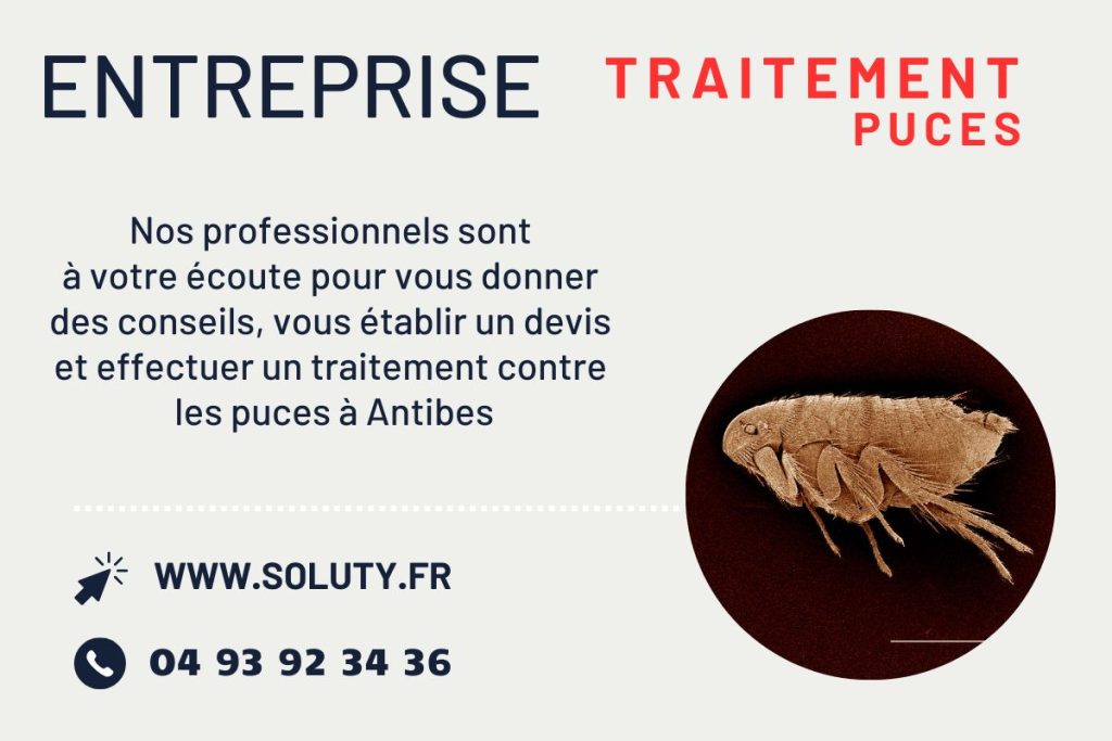 Entreprise de traitement des puces à Antibes