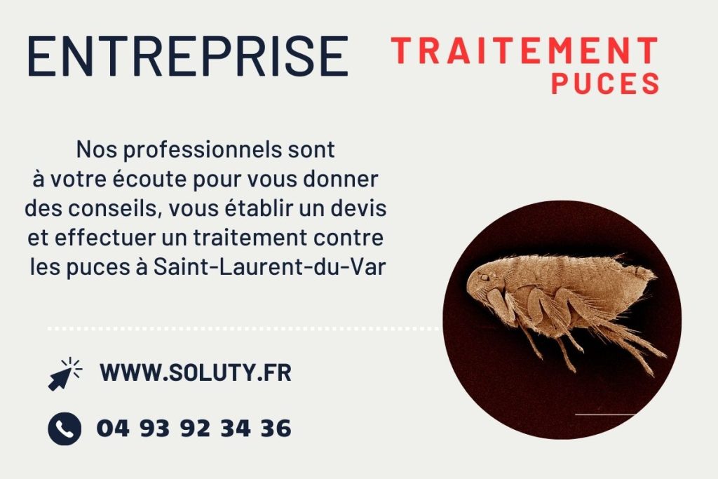entreprise de traitement des puces à saint-laurent-du-var